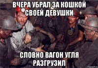 вчера убрал за кошкой своей девушки словно вагон угля разгрузил