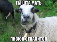 ты шта мать писюн отвалится