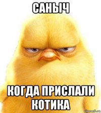 саныч когда прислали котика