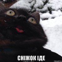  сніжок іде