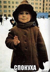  спокуха