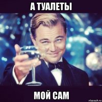 а туалеты мой сам