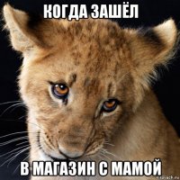когда зашёл в магазин с мамой