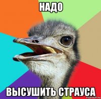 надо высушить страуса