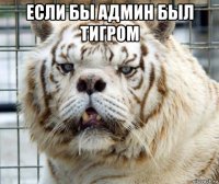 если бы админ был тигром 