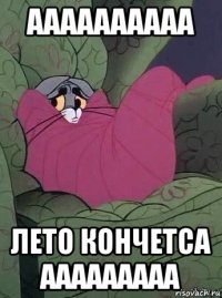 аааааааааа лето кончетса ааааааааа