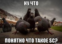 ну что понятно что такое sc?