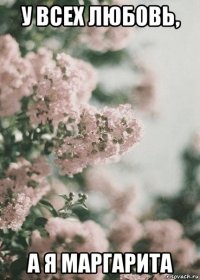 у всех любовь, а я маргарита