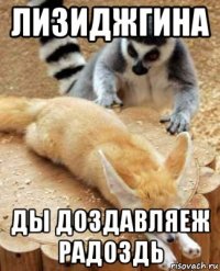 лизиджгина ды доздавляеж радоздь