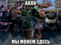 алло мы можем здесь