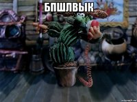 бпшлвык 