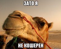 зато я не кошерен