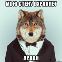 мою стену охраняет арлан