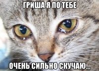 гриша я по тебе очень сильно скучаю...