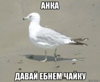 анка давай ебнем чайку