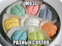 мозг разных сортов