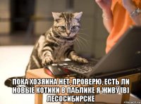 пока хозяина нет, проверю, есть ли новые котики в паблике я живу [в] лесосибирске