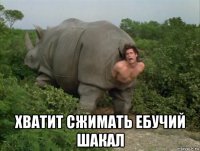  хватит сжимать ебучий шакал