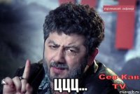  ццц...