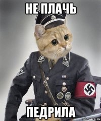 не плачь педрила