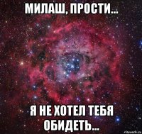 милаш, прости... я не хотел тебя обидеть...