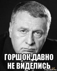  горшок,давно не виделись