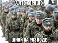 а что хорошо шнай на разводе