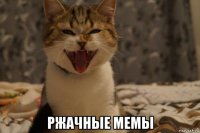  ржачные мемы