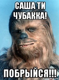 саша ти чубакка! побрыйся!!!