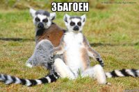 збагоен 