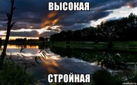 высокая стройная