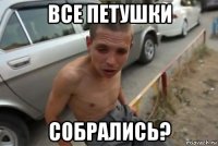 все петушки собрались?