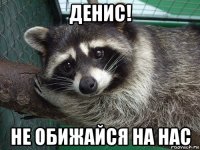 денис! не обижайся на нас