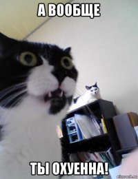 а вообще ты охуенна!