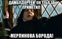 -дамблдор гей, он тебя за приметил -мерлинова борода!