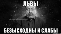 львы безысходны и слабы