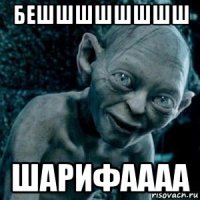 бешшшшшшшш шарифаааа