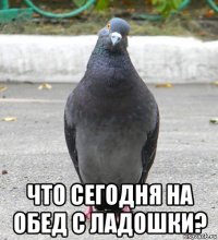  что сегодня на обед с ладошки?