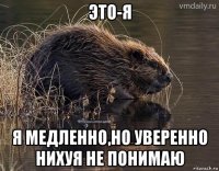 это-я я медленно,но уверенно нихуя не понимаю
