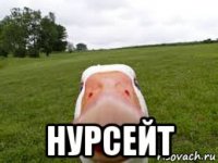  нурсейт