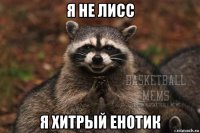 я не лисс я хитрый енотик