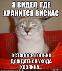 я видел, где хранится вискас осталось только дождаться ухода хозяина...