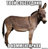 твой собеседник в комментариях