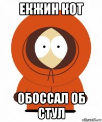 екжин кот обоссал об стул