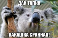 дай тапка какашка сранная!