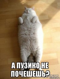  а пузико не почешешь?