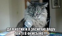  да я котик и я засираю вашу ленту в фейсбуке!!!!