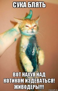 сука блять вот нахуя над котиком издеваться! живодеры!!!