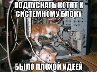 подпускать котят к системному блоку было плохой идеей