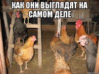 как они выглядят на самом деле 